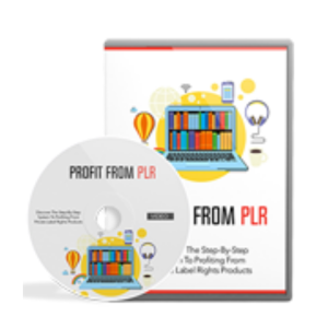 Read more about the article How to generate Profit from PLR Video