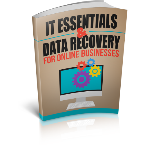 Earning by IT Essentials And Data Recovery For Online Businesses