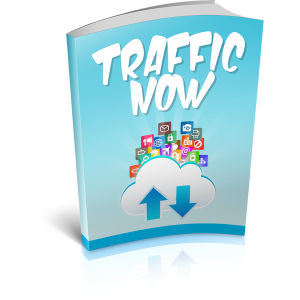 Read more about the article How to Earn by Building Traffic
