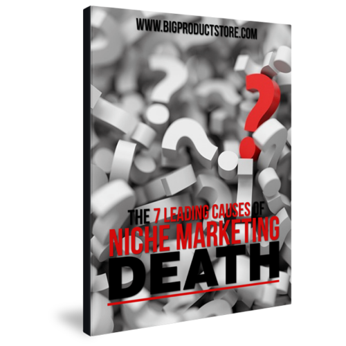 Earning by Avoiding Leading Causes Of Niche Marketing Death