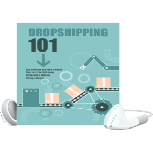 Read more about the article How to Earn by Dropshipping