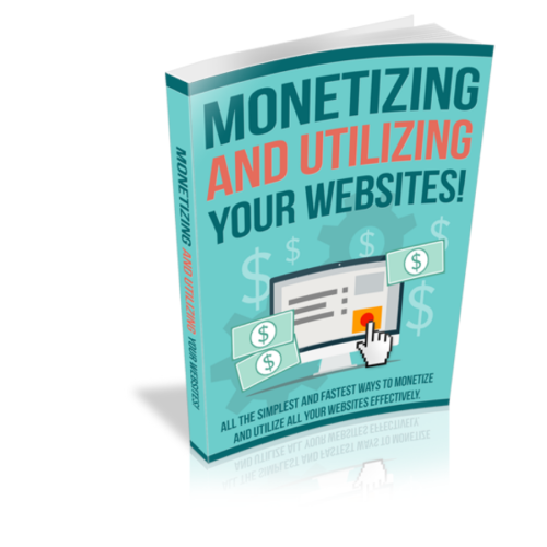 How to Earn by Monetizing And Utilizing Your Websites