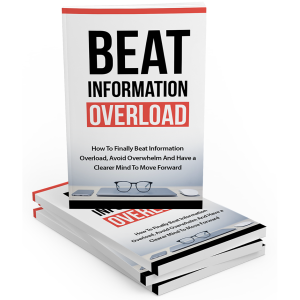 Read more about the article How to Earn by Beat Information Overload