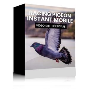 Read more about the article Instant Mobile Video Site Software for Racing Pigeons