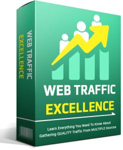 Read more about the article Excellence in Web Traffic