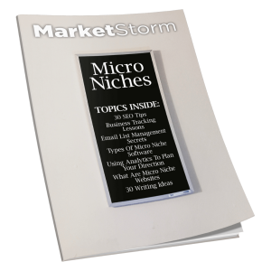 Read more about the article How to Make Money by Micro Niches