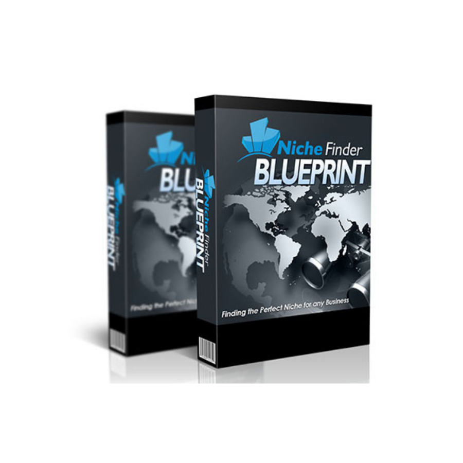 You are currently viewing How to Earn by Making Blueprint of Niche Finder