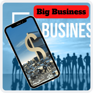 Read more about the article Earn 5000USD Monthly With Big Business Blueprint Video Course