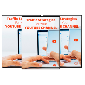 Read more about the article Best Earning Ideas With Traffic Strategies For Your YouTube Channel