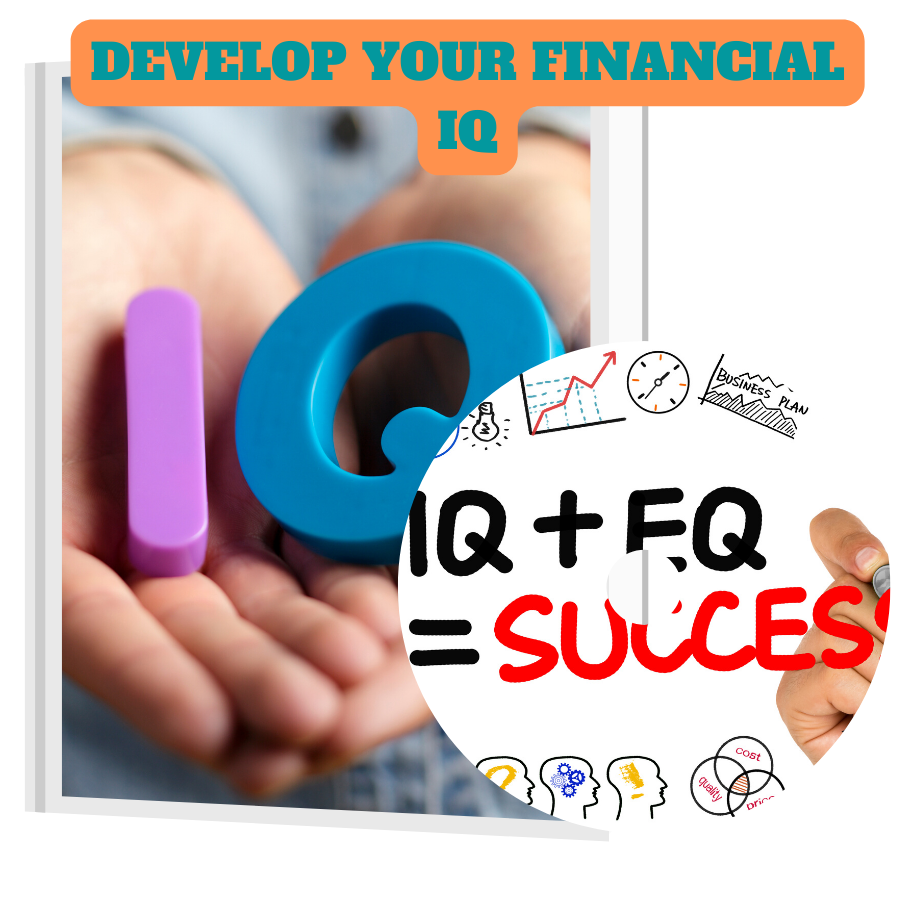 You are currently viewing Best Way To Earn By Developing Your Financial IQ