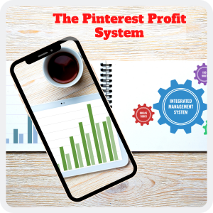 Read more about the article Money Online On Pinterest-Profit-System Video Course