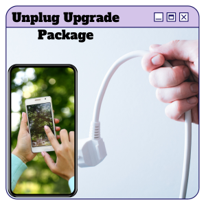 Read more about the article Make Money Online On Unplug Upgrade Package