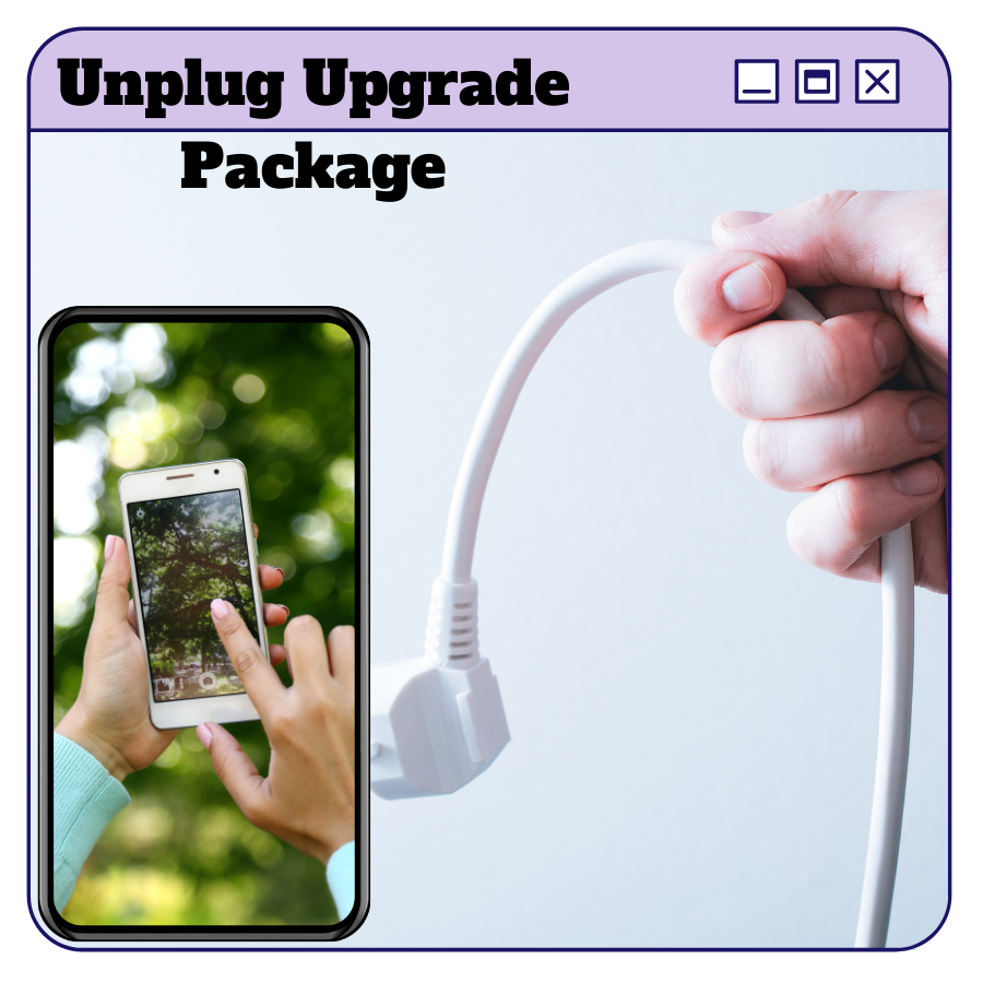 You are currently viewing Make Money Online On Unplug Upgrade Package