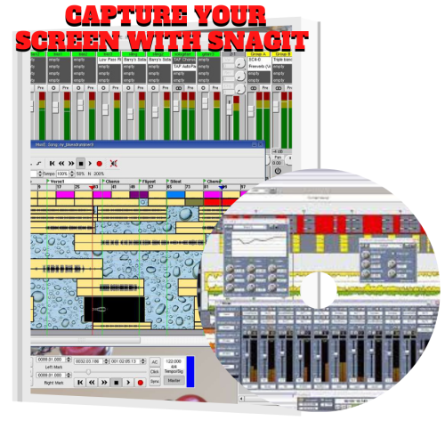 100% Free to download video course “Capture Your Screen With Snagit Advanced Version” with master resell rights will make you an entrepreneur just in a day