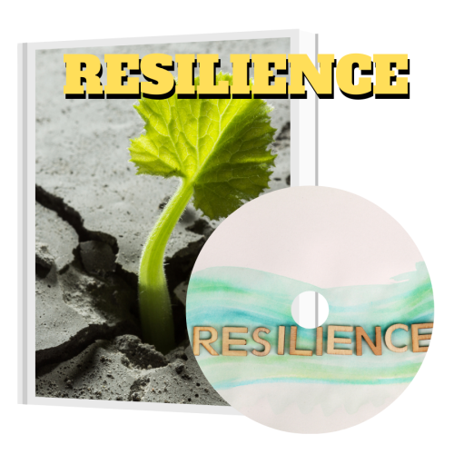 100% free to Download video course “Gold Resilience” with Master Resell Rights will educate you on new tricks for making money online