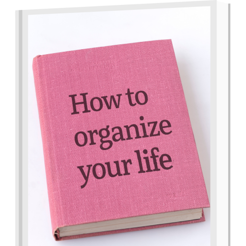 100% free to Download Real Video Course with Master Resell Rights “The Organized Life” is a lottery ticket to make money online effortlessly