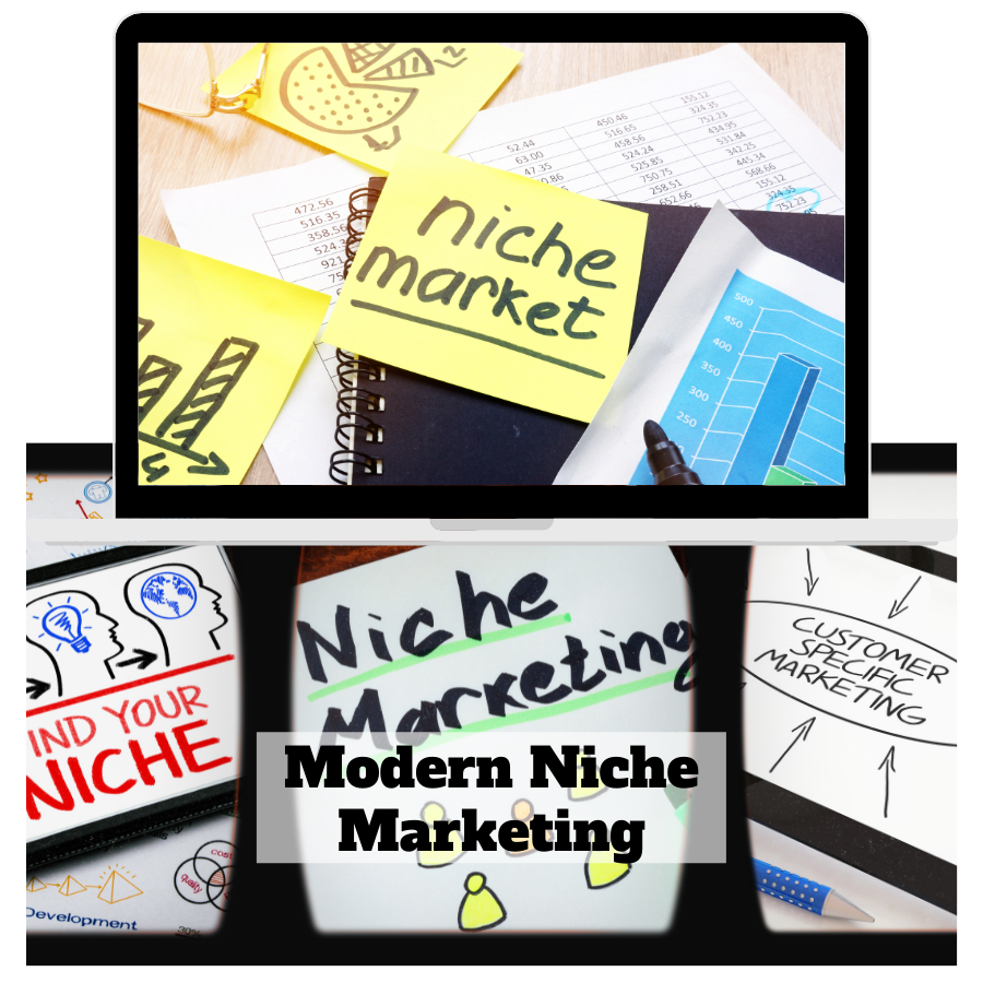 You are currently viewing Earn 500USD Weekly With Modern Niche Marketing Video Course