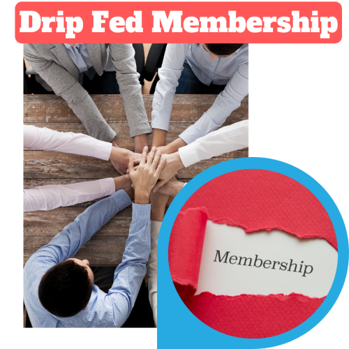 100% Download Free Real Video Course with Master Resell Rights “Drip-fed Membership” is for a brand new entrepreneur as well as for an experienced business person to build an online business working part-time on your mobile/laptop for making real passive money