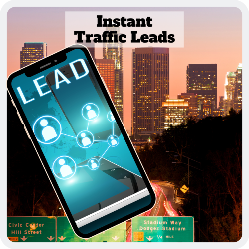 100% Free to Download Video Course “Instant Traffic Leads” with Master Resell Rights will turn you into an entrepreneur and you will become rich overnight