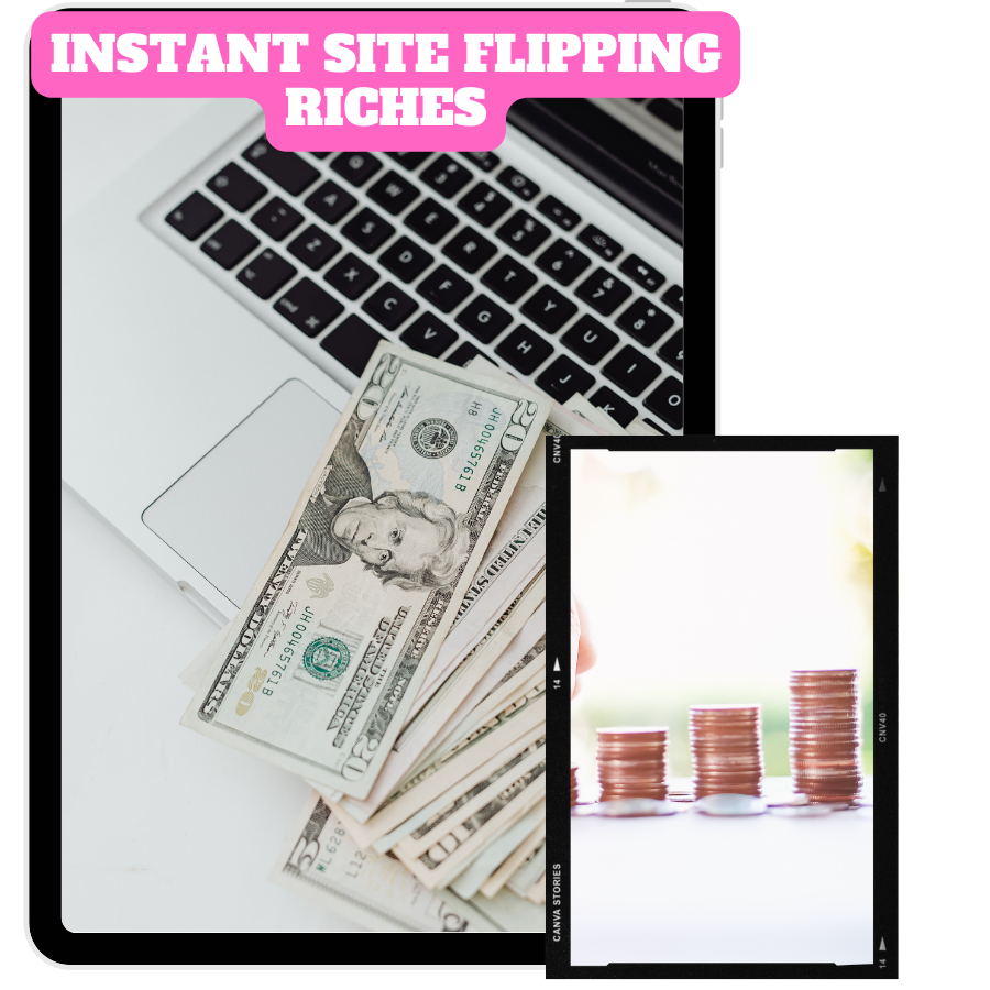 You are currently viewing New Earning Trick With Instant Site Flipping Riches