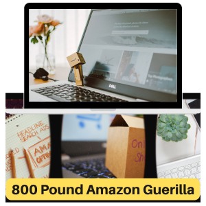 Read more about the article 100% Download Free Real Video Course with Master Resell Rights “800 Pound Amazon Guerilla” will make you an expert within a month and you will start making money online while working from this part-time work. Make your business idea to business reality