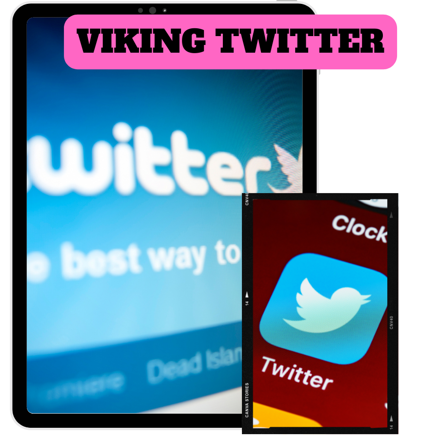 You are currently viewing 100% Download Free Real Video Course with Master Resell Rights “Viking Twitter Ads” is just like winning a lottery ￼