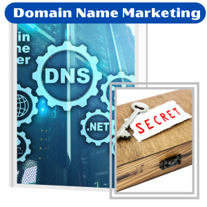 Read more about the article Earn good income from Domain Name Marketing