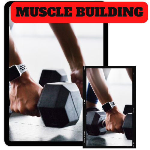 100% Free Video Course “Muscle Building” with Master Resell Rights and 100% Download Free. Easy way to learn how to build muscle with easy steps. You will learn to muscle building a diet and build your body at home