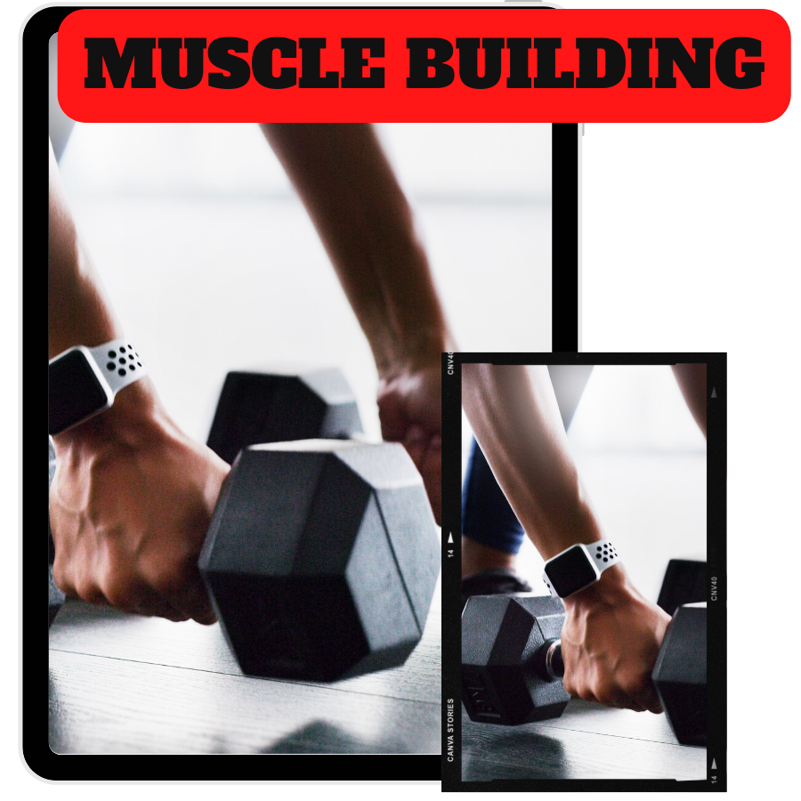 You are currently viewing 100% Free Video Course “Muscle Building” with Master Resell Rights and 100% Download Free. Easy way to learn how to build muscle with easy steps. You will learn to muscle building a diet and build your body at home
