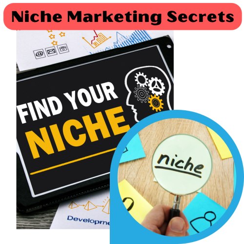 100% Free Video Course “Niche Marketing Secrets” with Master Resell Rights and 100% Download Free. The most profitable business to make real MONEY and it will make your lifestyle lavish 