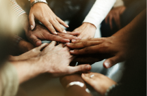 Group Of Hands Photo