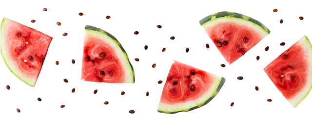 Watermelon Pieces Photo