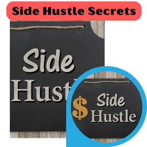 Read more about the article How to earn money from Side Hustle Secrets with a 100% video course