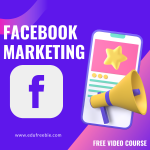 100% free video with resell rights “Facebook Marketing”. This video course is perfect for startup entrepreneurs, digital marketers, and social media managers. The download is also free